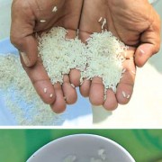 BERAS PLASTIK